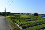 ルート