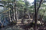 尾根歩き
