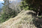 尾根