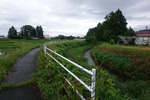 権津川