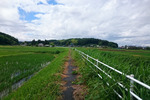 権津川2