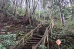 階段