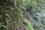 登山道