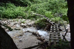 登山道2