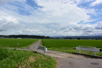 ルート