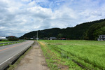 ルート5