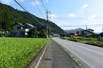 車道歩き