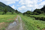 未舗装道路