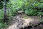 登山道2