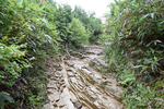 登山道3