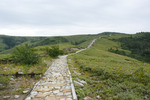登山道6