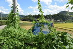 案内板