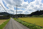 ルート