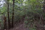 山道