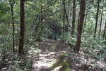 山道2