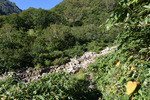 登山道2