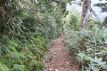 下山道2
