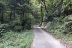 県道