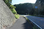県道分岐