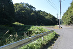 林道分岐