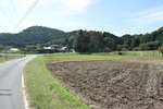 田舎道