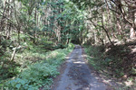 山道