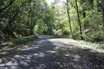 山道2