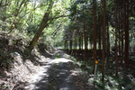 山道3