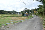 田舎道