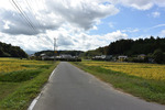 田舎道2