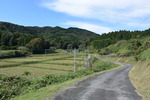 田舎道