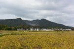 富谷山