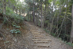 登山道