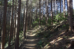 登山道2