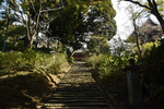 参道