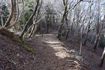 縦走路5