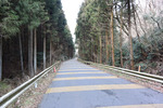 車道