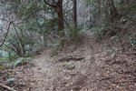 筑波山へ