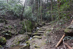 登山道