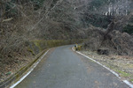 車道歩き