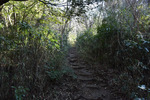 登山道