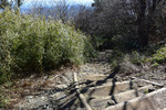 下山道