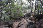 下山道2
