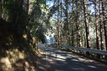 峠道