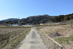 田舎道