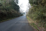 道路