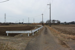 田舎道
