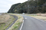 合流もどき