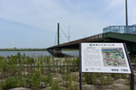 スタート地点
