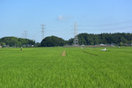 電車のある風景